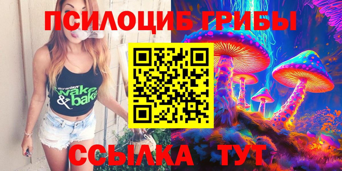 Димитровград  Псилоцибиновые грибы Magic Shrooms  Вход с VPN  Псилоцибиновые грибы Psilocybe 